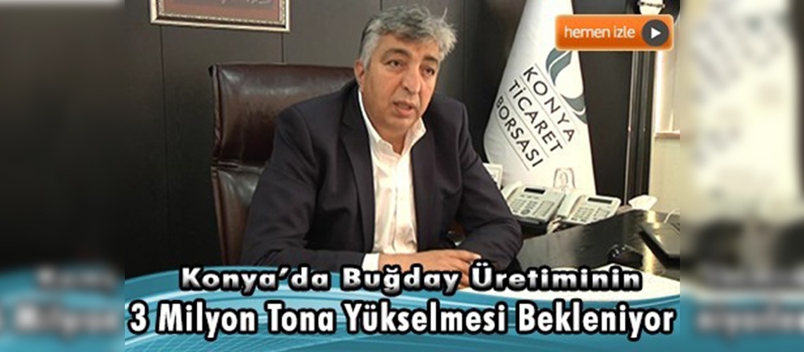 Buğday üretiminde artış bekleniyor