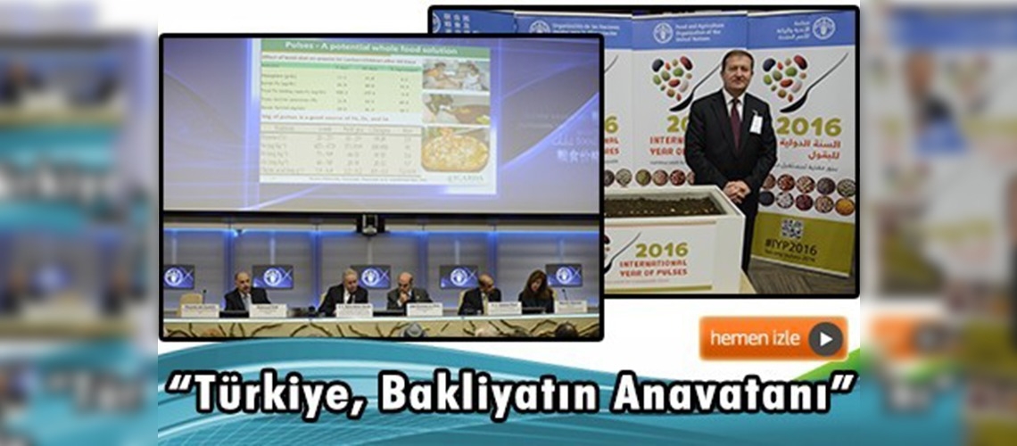 2016 Uluslararası Bakliyat Yılı, FAO üyesi ülkeler tanıtım toplantısı