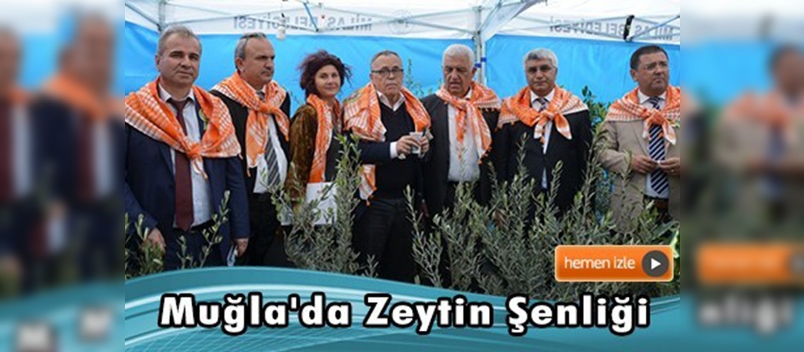 2. Milas Zeytin Hasat Şenliği 