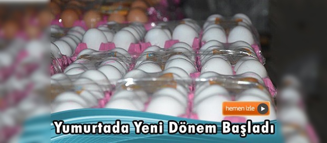 Yumurta satışında yeni dönem  başlıyor