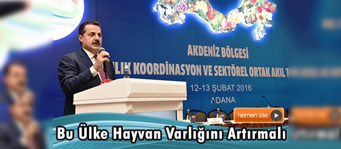 Çelik: Kimsenin keyfi olarak hareket etmeye hakkı yok 