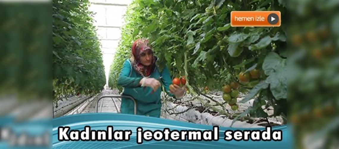 Jeotermal sera kadınların ekmek teknesi oldu