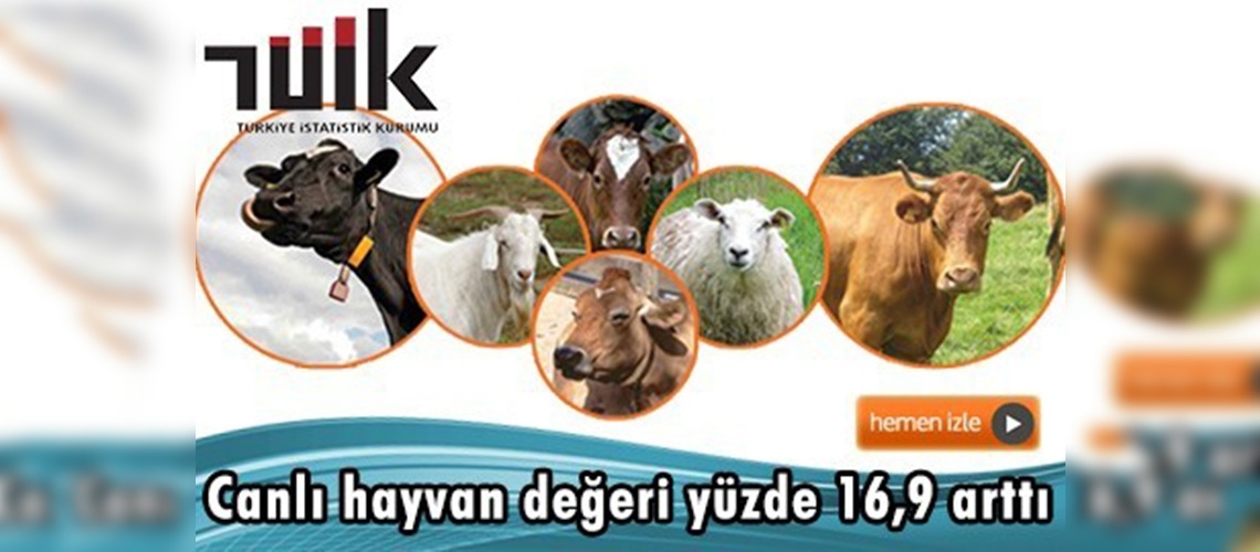 Canlı hayvan ve hayvansal ürün fiyatları açıklandı