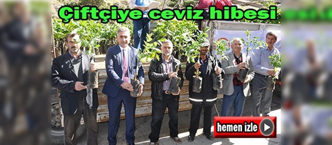 Binlerce ceviz fidanı çiftçilere dağıtıldı