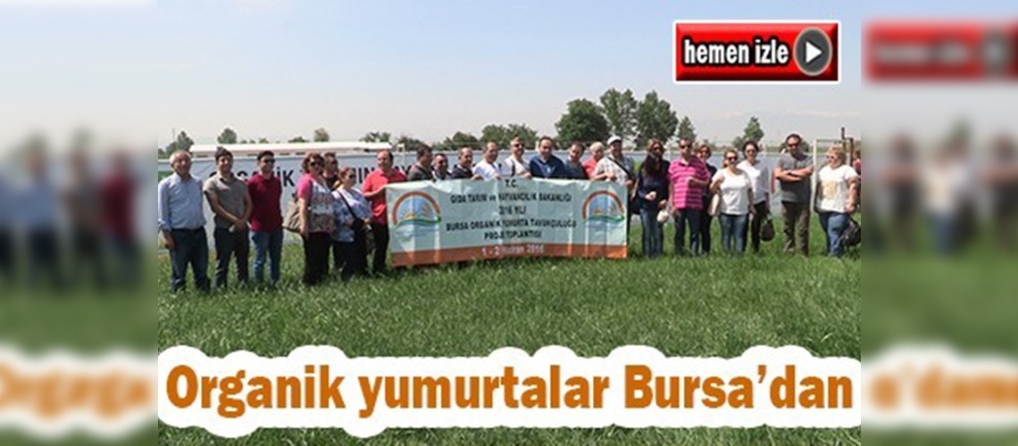 Bursa'dan organik yumurta atağı