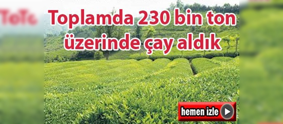 Toplamda 230 bin ton üzerinde çay aldık