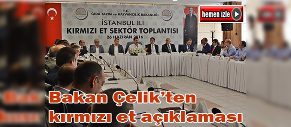 Bakan Çelik İstanbul ili kırmızı et sektör toplantısına katıldı