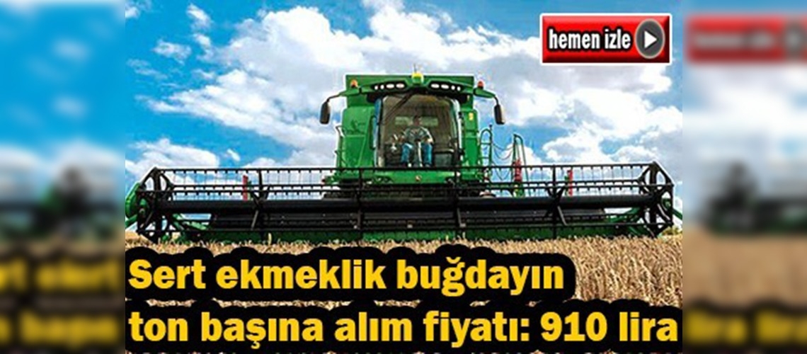 Başbakan hububat alım fiyatını açıkladı