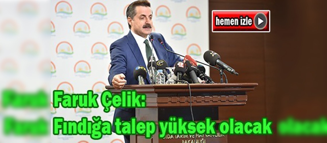 Fındık rekoltesi 468 bin ton