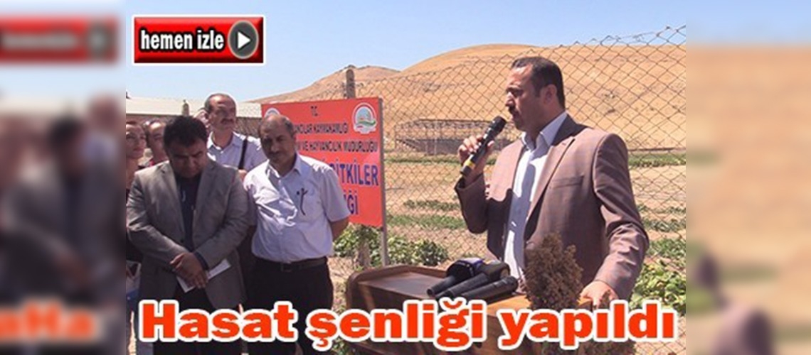 Elazığ'da hasat şenliği