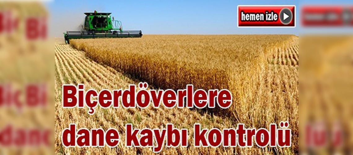 Biçerdöverlere dane kaybı kontrolü