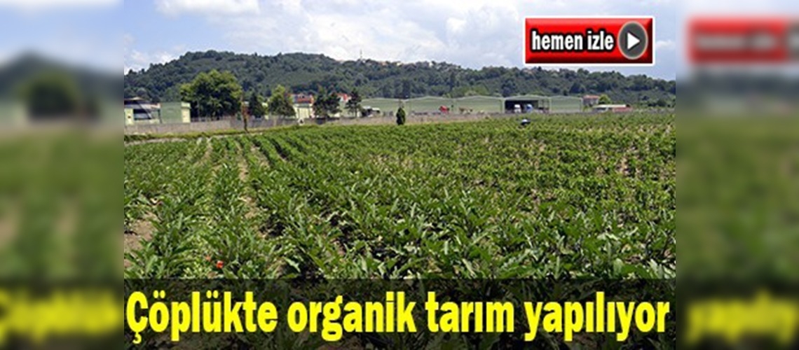 Çöplükten organik tarıma