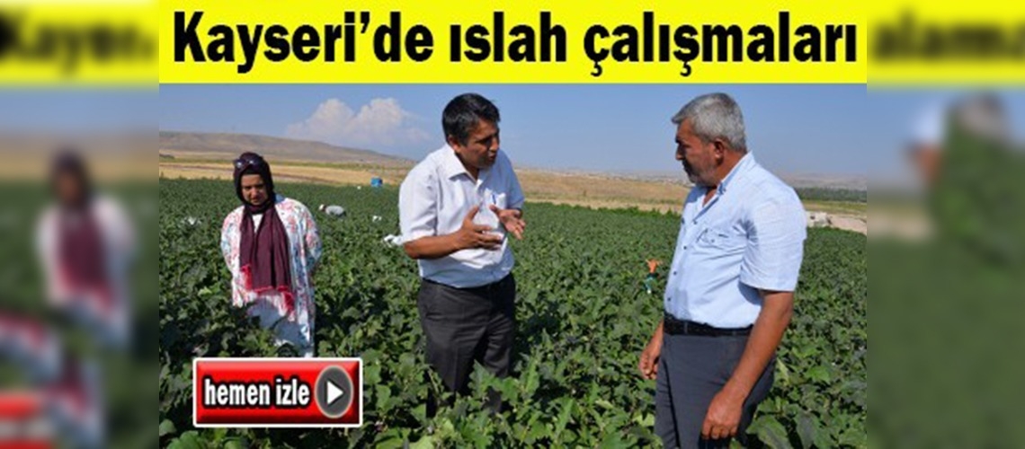 Kayseri'de yerli ürün çeşitleri ıslah çalışmaları