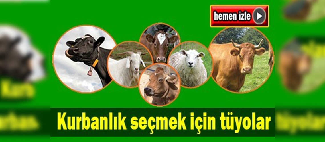 Tüyleri parlak kurbanlıklar tercih edilmeli