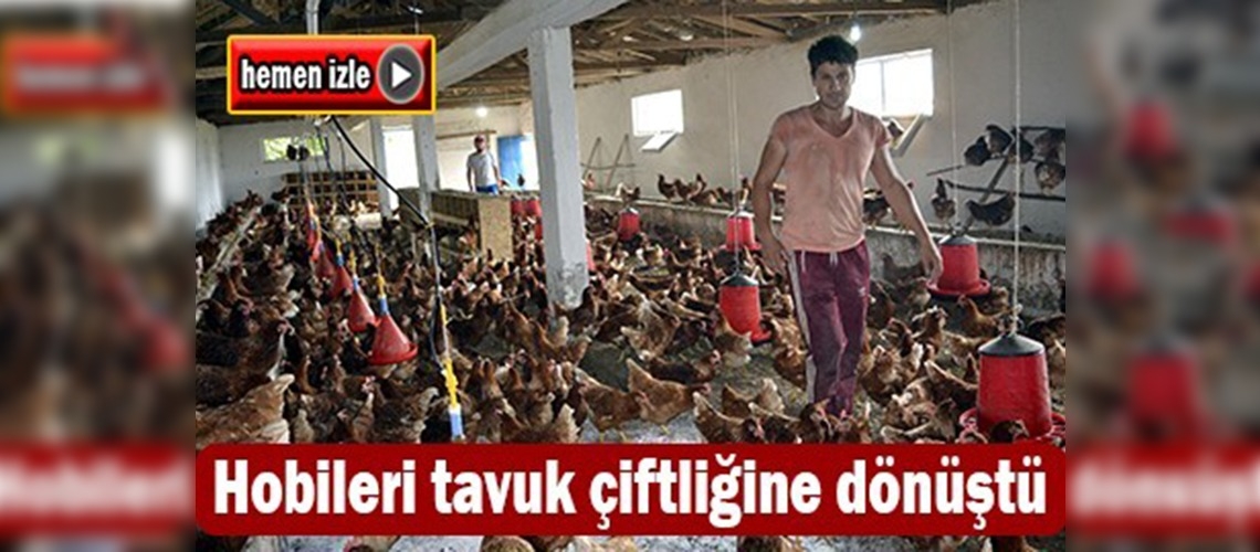 Hobi amacıyla başladılar tavuk çiftliği kurdular