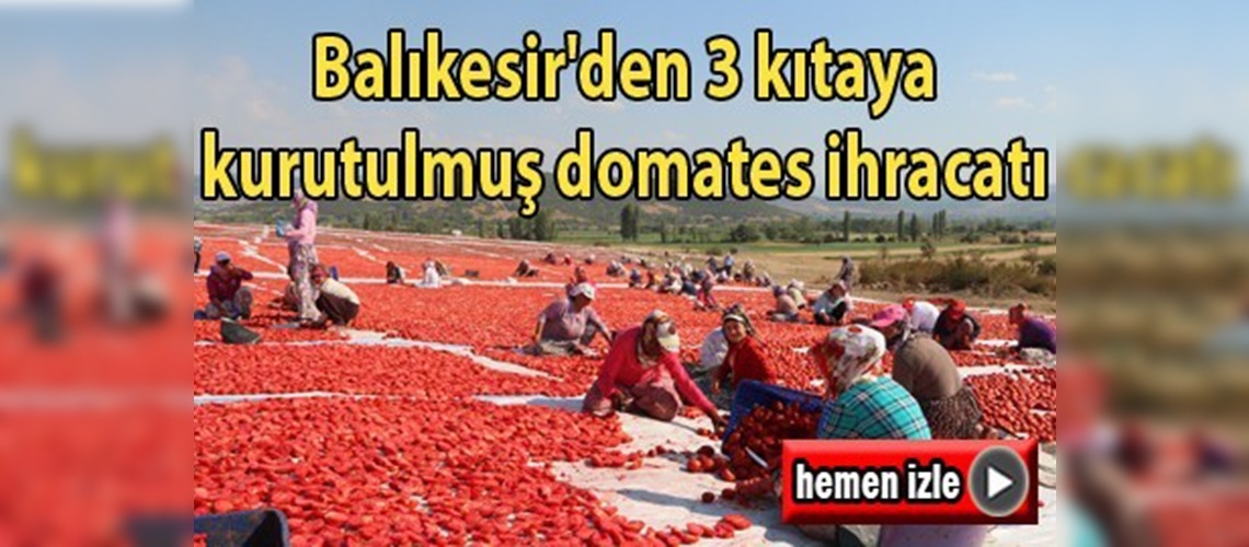 Balıkesir'den 3 kıtaya kurutulmuş domates ihracatı