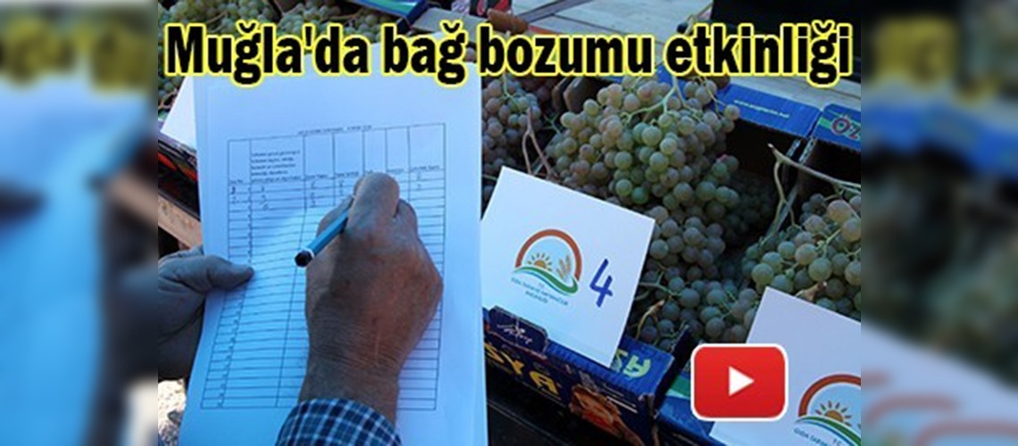 Muğla'da en iyi elma ve üzüm seçildi