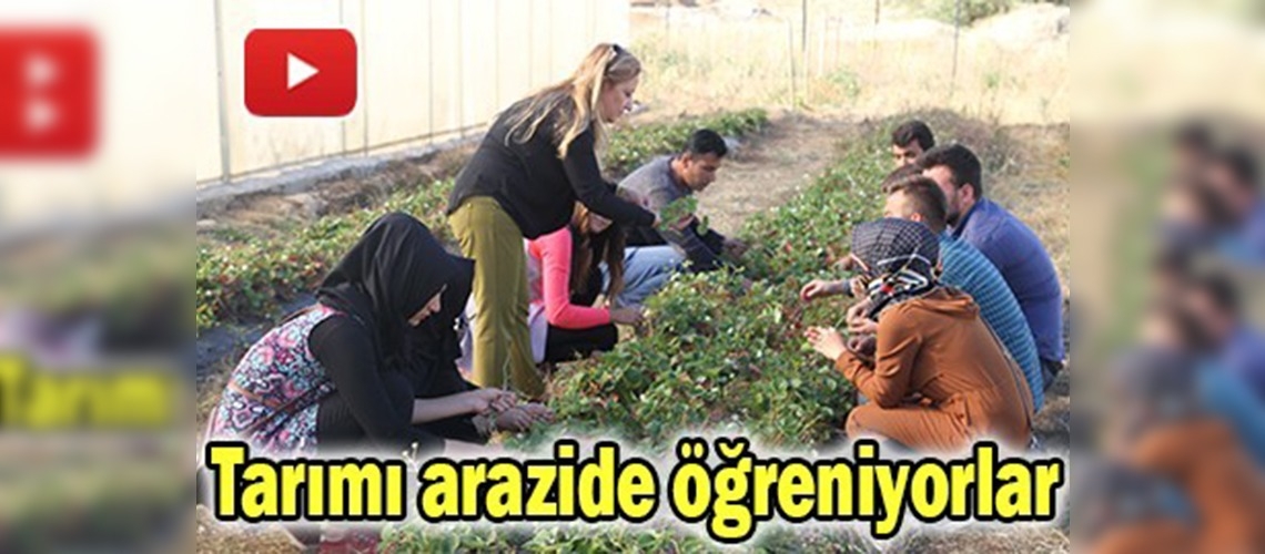 Tarımı uygulamalı olarak arazide öğreniyorlar