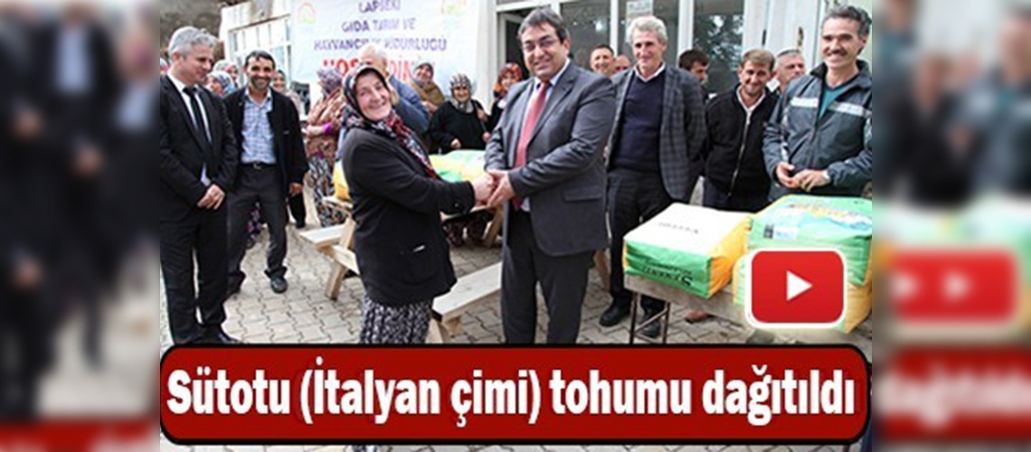 İtalyan çimi tohumu dağıtıldı