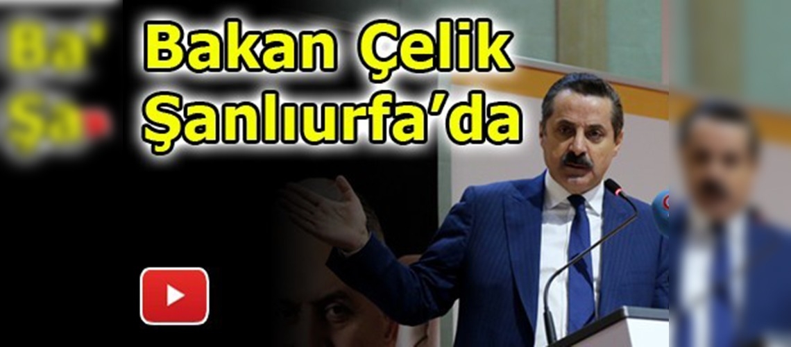 Çelik Şanlıurfa'da önemli açıklamalarda bulundu