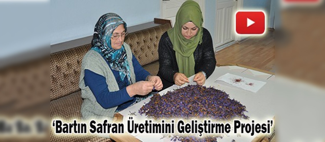 Mucize bitki ''safran''