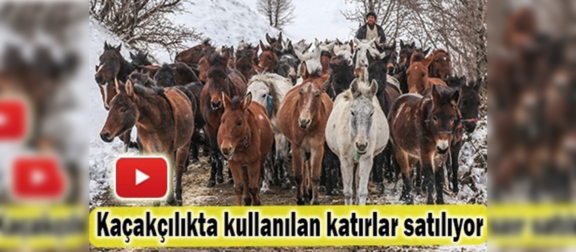 İhaleyle satılacaklar