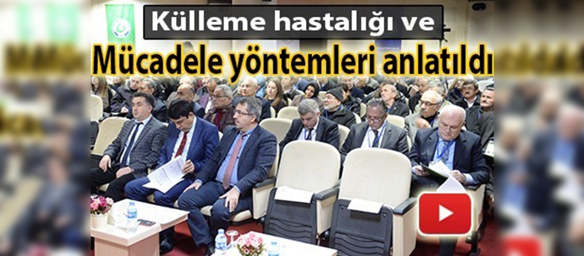 ''Fındıkta Külleme ve Dalkıranla Mücadele Paneli''