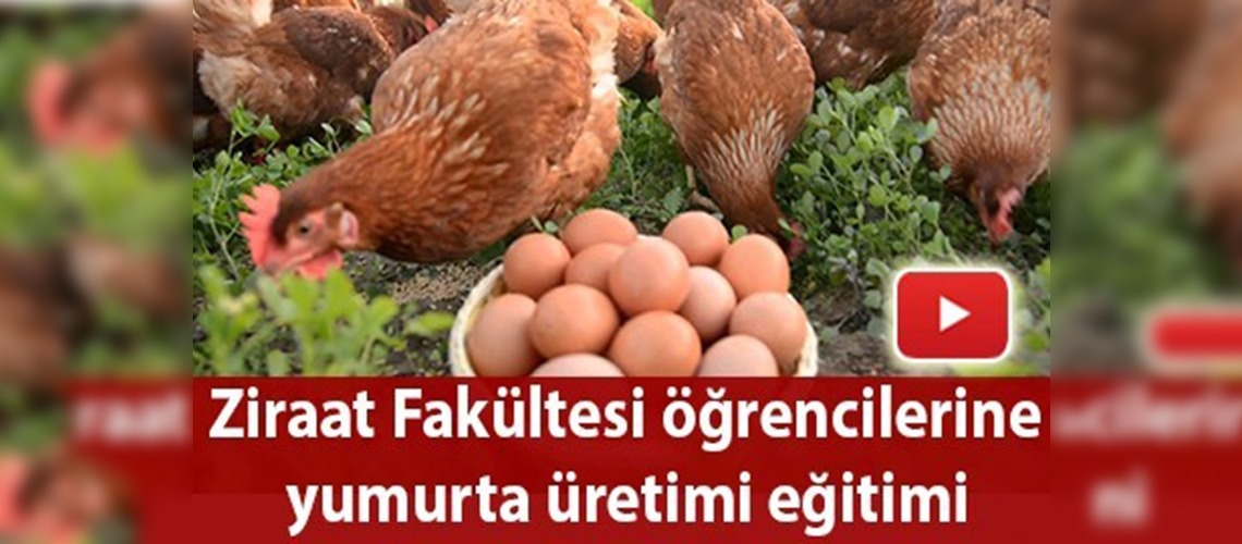 Yumurta üretimine uygulamalı eğitim