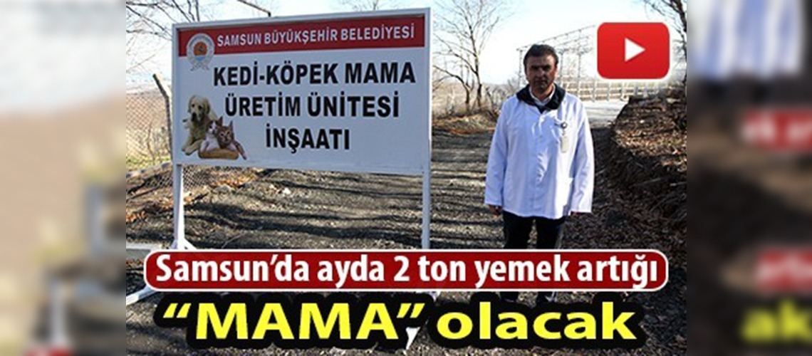 Yemek artıkları sokak hayvanlarına ''mama'' olacak