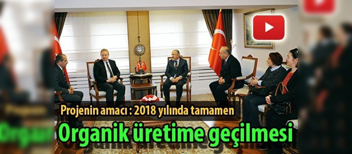 Organik Çay Tarımı Projesi