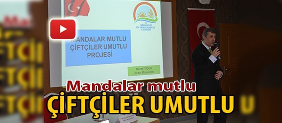 Manda yetiştiriciliği paneli