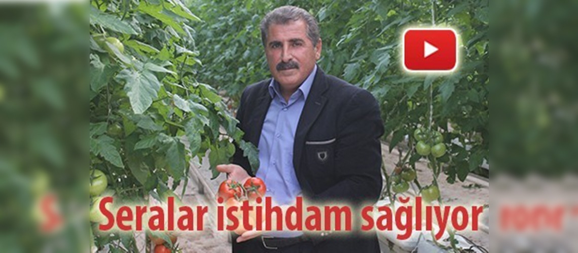 Seralar ekmek kapısı oldu