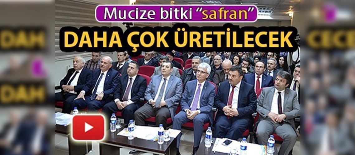 EYYDB'den safran projesi