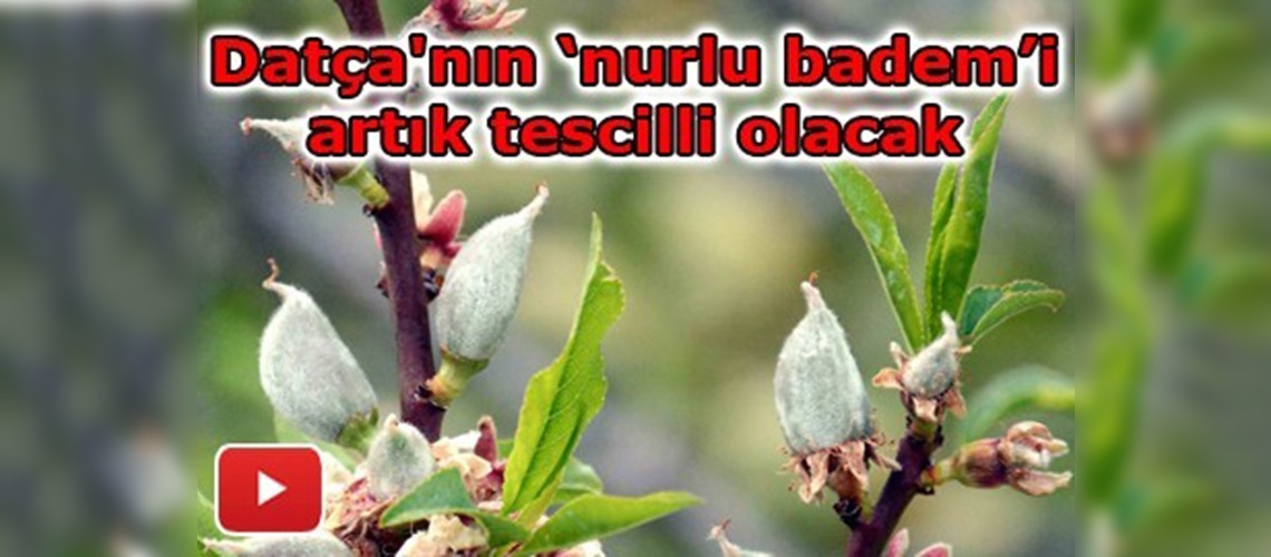 Coğrafi İşaret Tescili İçin Çalışma Başladı