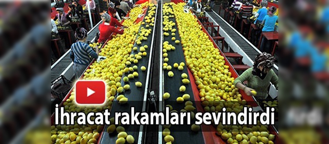 Tarım ve gıdada dış ticaret arttı