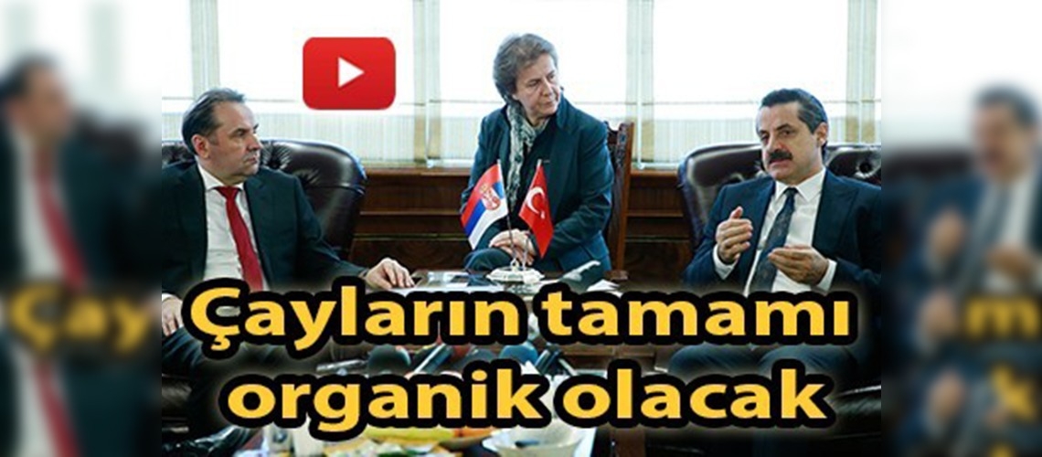 Bakan Faruk Çelik'ten organik çay açıklaması