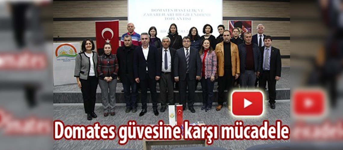 Domates güvesine karşı mücadele