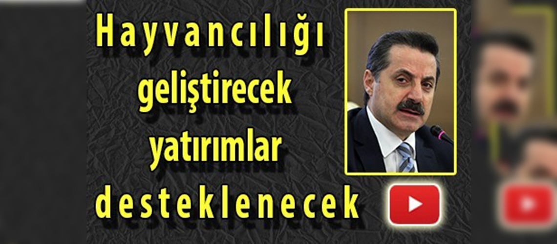 Hayvancılık yatırımlarına hibe desteği