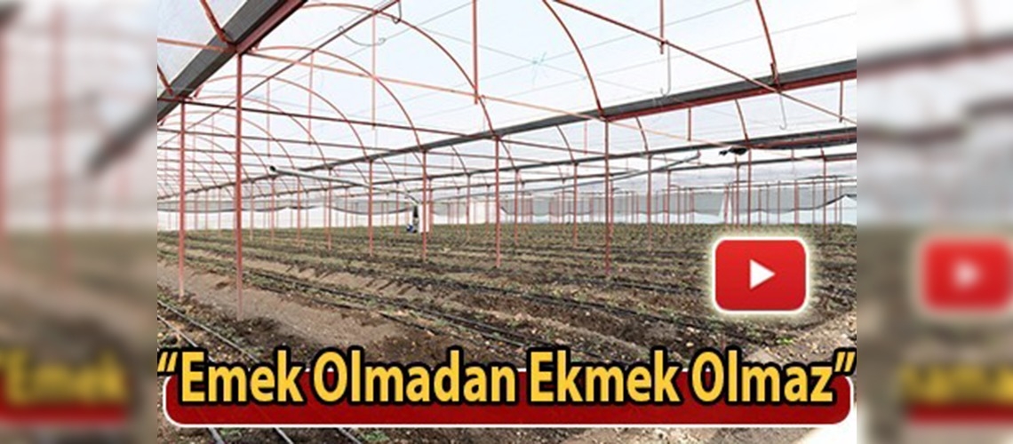 10 dekarda başladı 300 dekara ulaştı