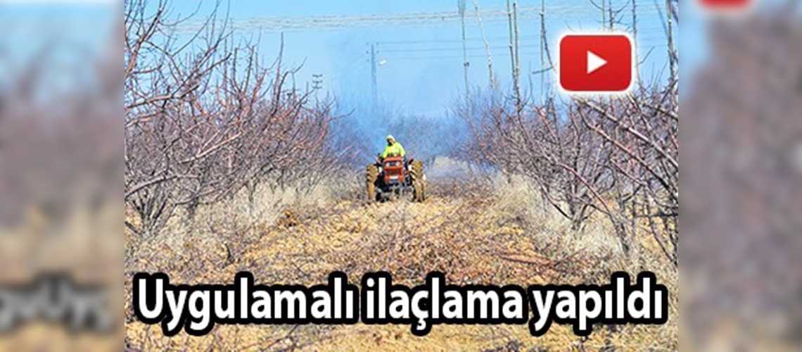 Elmada kara leke hastalığı ile mücadele