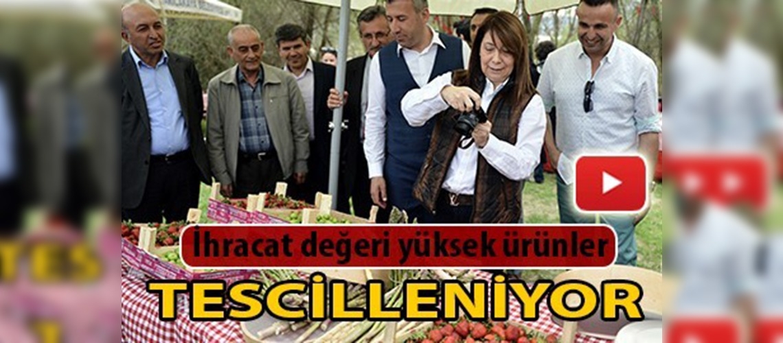 Kuşkonmaz hasadı şenliği