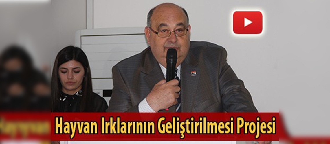 Suni tohumlama ile hayvan ırkı gelişecek