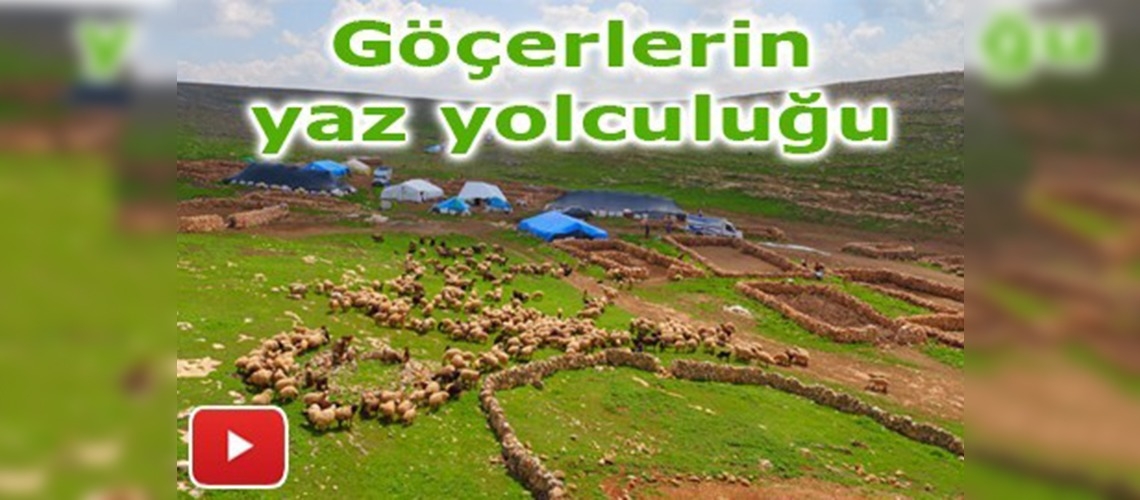 Havalar ısındı göçerler yola çıktı