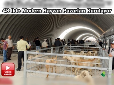 Modern hayvan pazarları ve borsaları geliyor