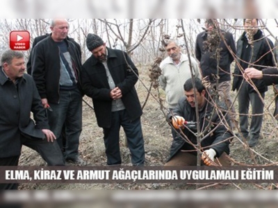 Erzincanda budama sezonu başladı