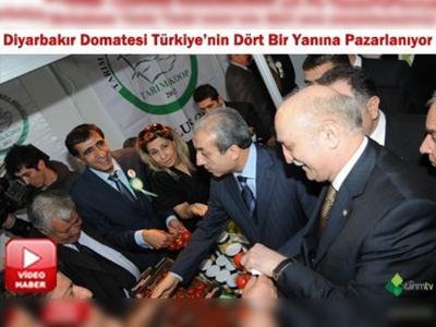 DİYARBAKIR DOMATESTE ANTALYAYA RAKİP ÇIKTI