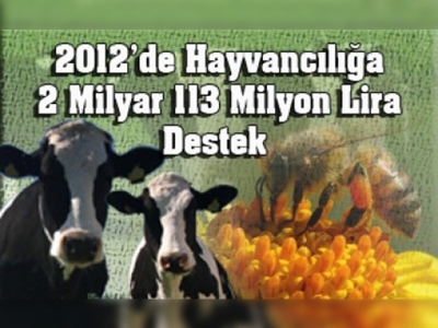 2012de Hayvancılığa 2 Milyar 113 Milyon Lira Destek 