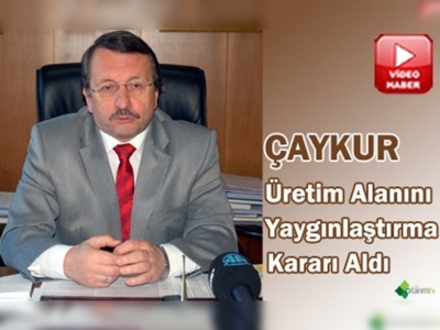 Organik Çay Üretim Alanı 20 Bin Dekara Ulaştı