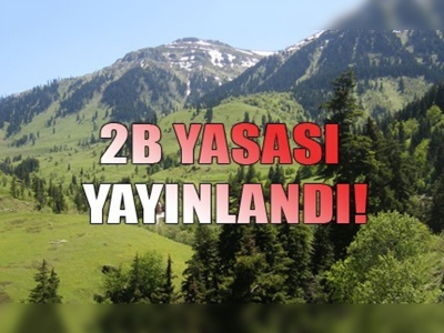 2B Yasası yürürlüğe girdi 