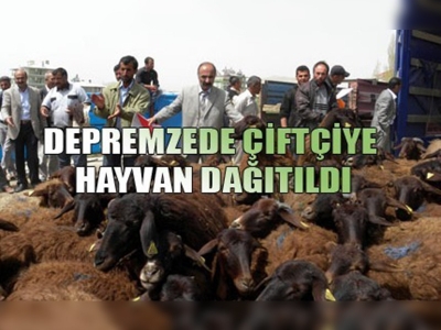 Vanda 272 çiftçiye toplam 1268 hayvan dağıtıldı